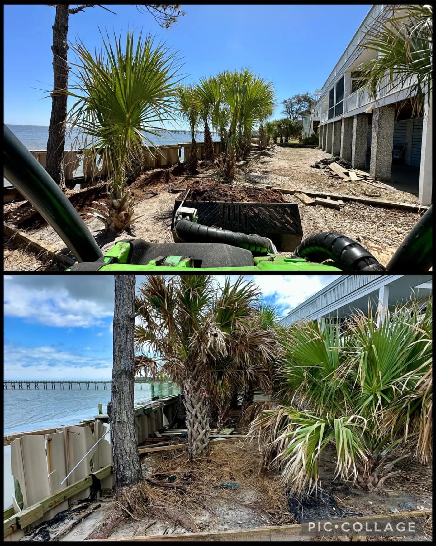 Outdoor debris being collected and removed from a property