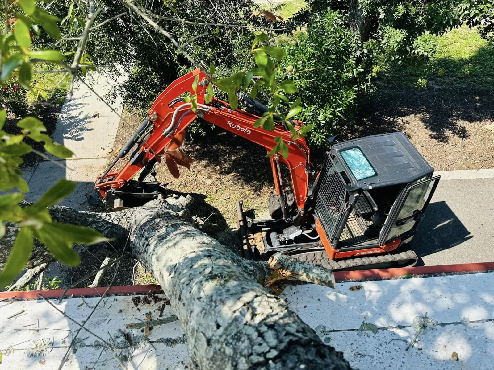 Excavator assisting with urgent tree removal beside a structure