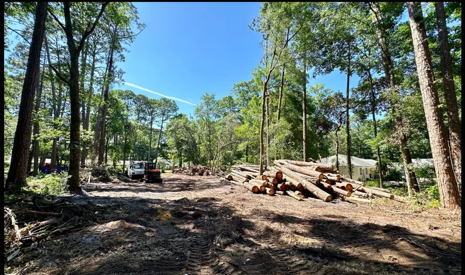 Cleared residential property with logs staged for removal