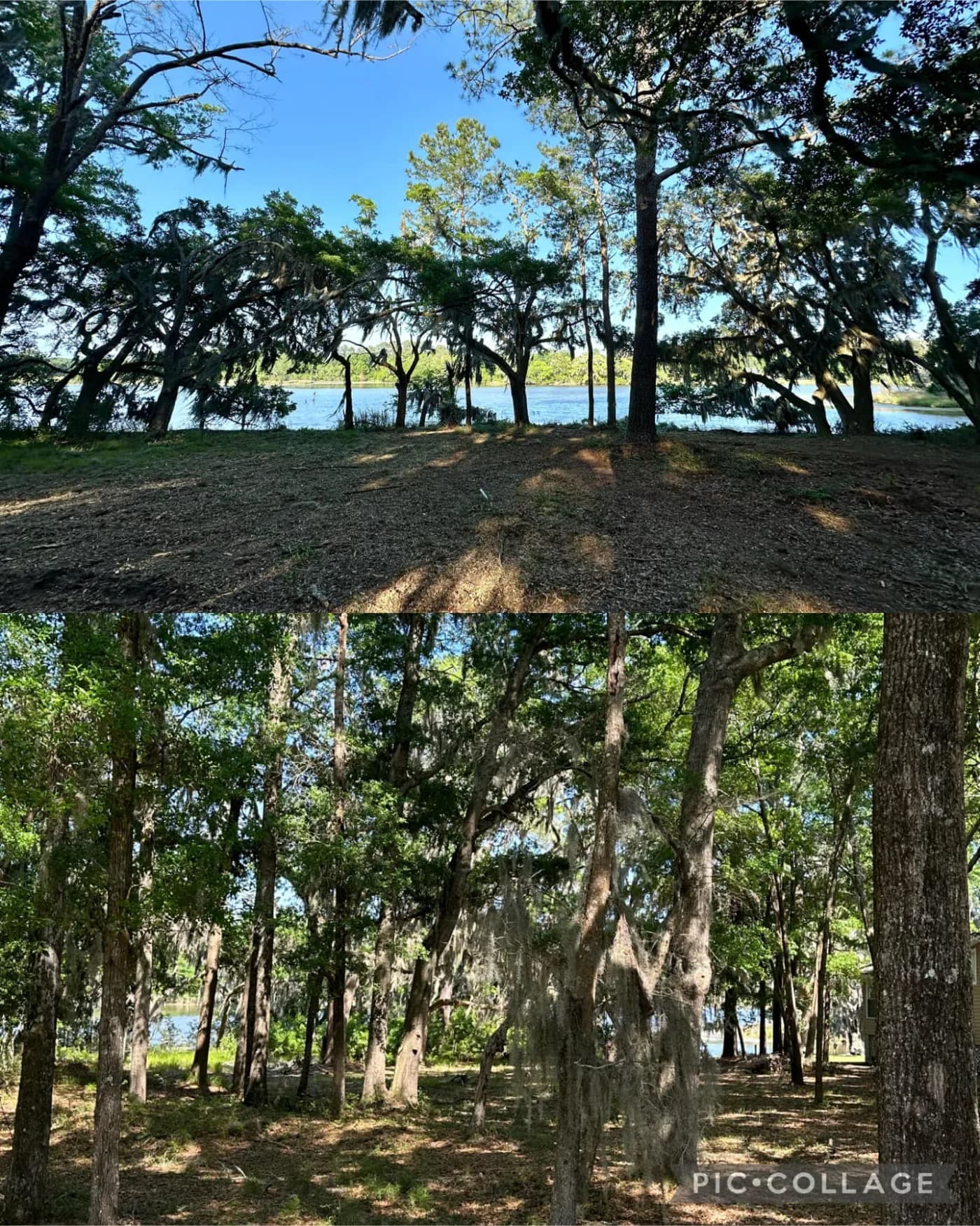 Outdoor property cleanup and restoration in progress